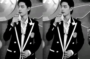  karsa进过几次世界赛 